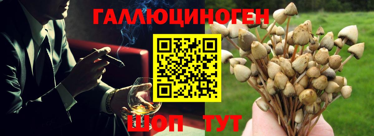 Галлюциногенные грибы ЛСД  Галлюциногенные грибы Psilocybine cubensis  Ангарск  Вход с VPN 