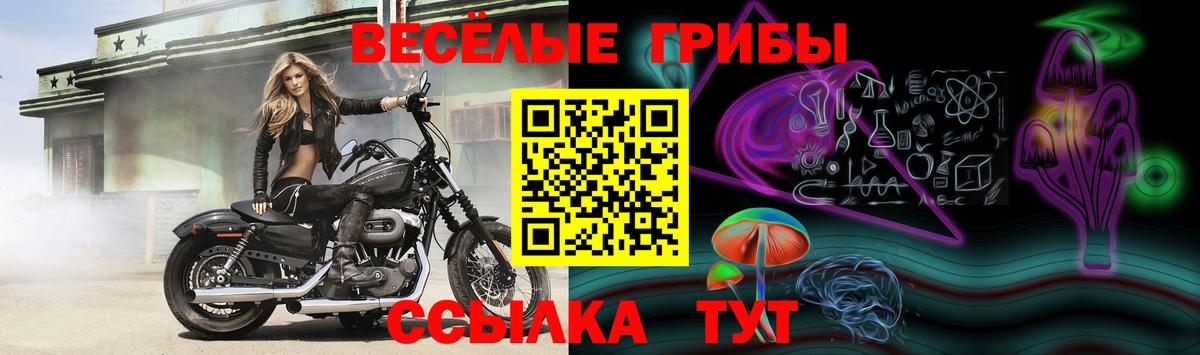 Псилоцибиновые грибы прущие грибы Ангарск